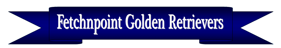 Fetchnpoint Golden Retrievers